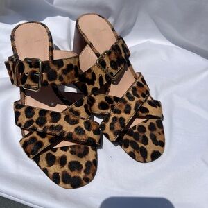 J. Crew Brown and Black Mules Timeless Slip-On Style